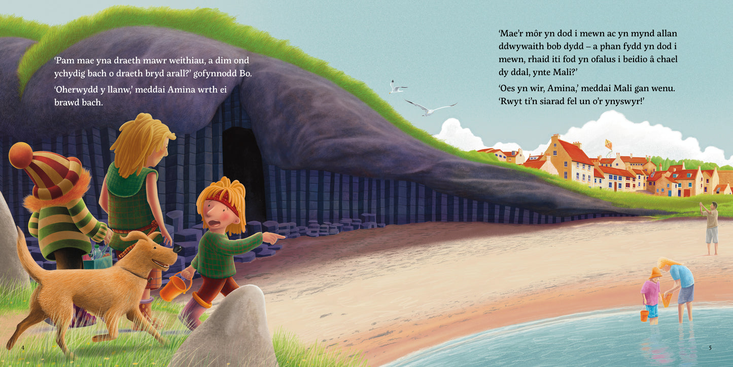 Mali ac Ogof y M r-Leidr