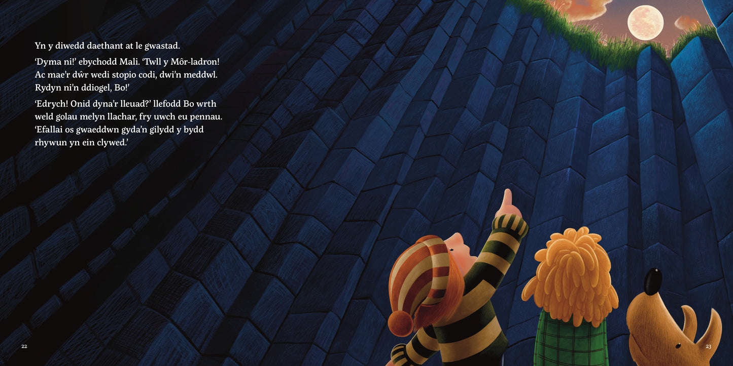 Mali ac Ogof y M r-Leidr