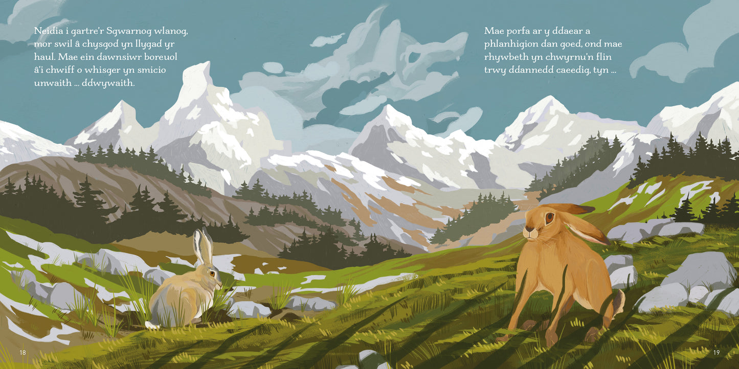 Neidia, Sgwarnog, Neidia!