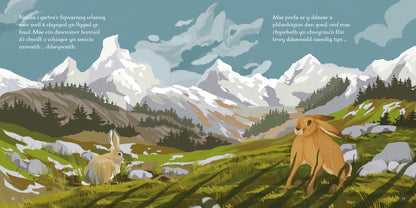 Neidia, Sgwarnog, Neidia!