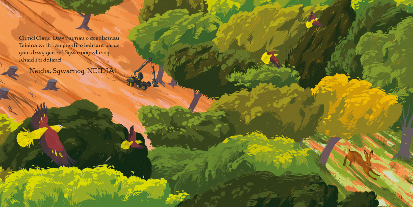 Neidia, Sgwarnog, Neidia!