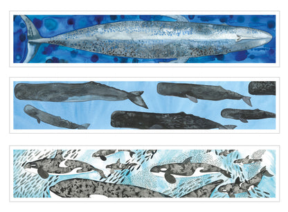 Blue Heart Concertina Cards