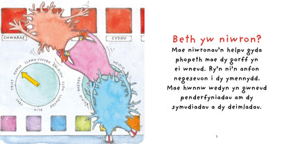 Niwronau ac Awtistiaeth