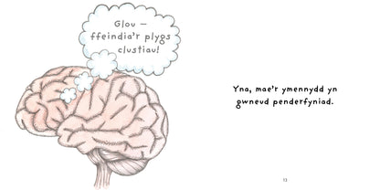 Niwronau ac Awtistiaeth