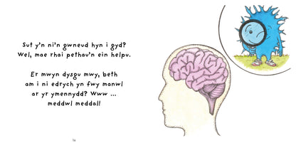 Niwronau ac Epilepsi