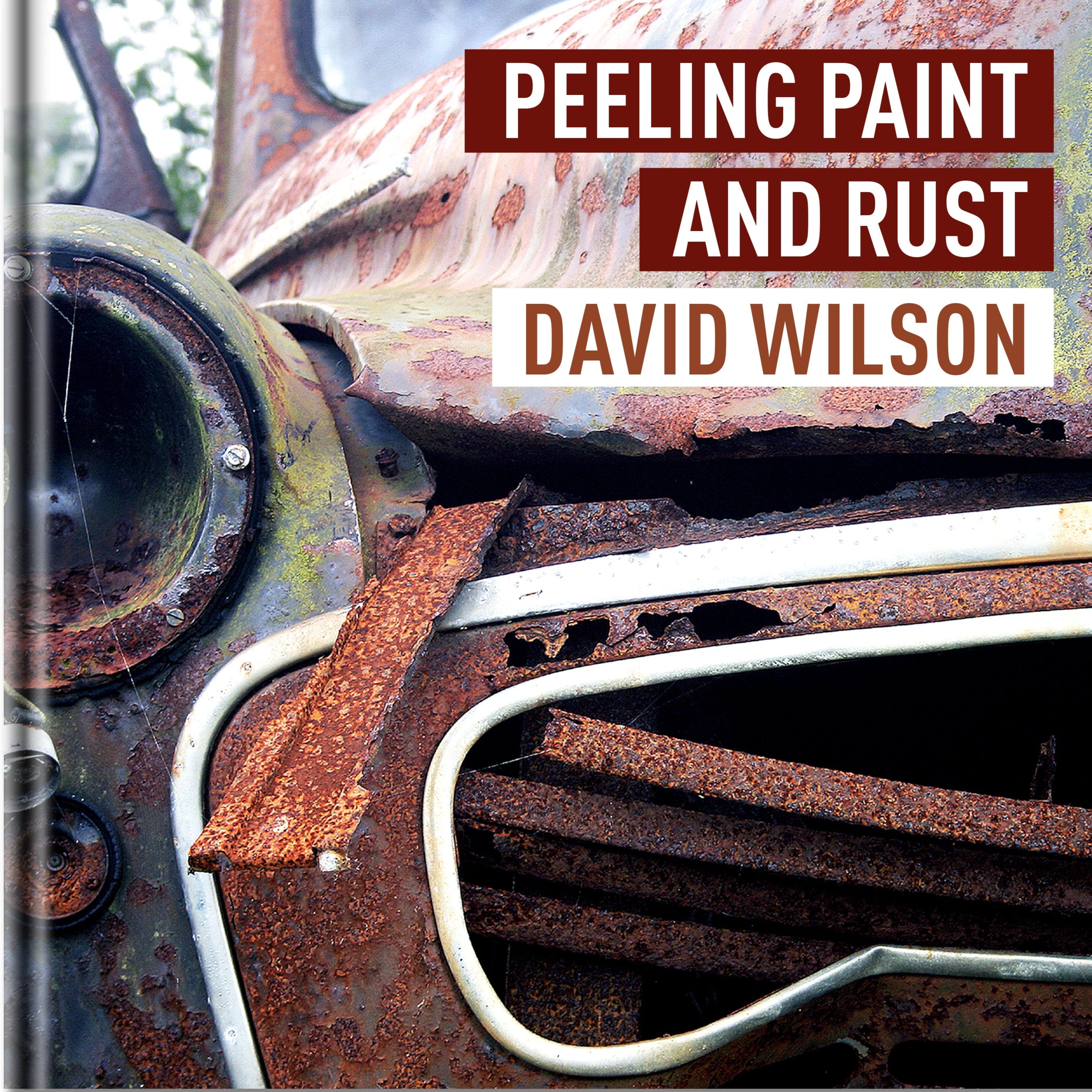 python patterns | dave wilson photography Images High... Peeling Paint and Rust | David Wilson | Photography Book – Graffeg Books