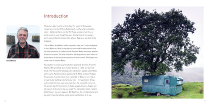 Peeling Paint and Rust