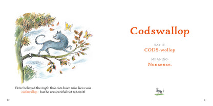 Peter the Cat's Little Book of Big Words