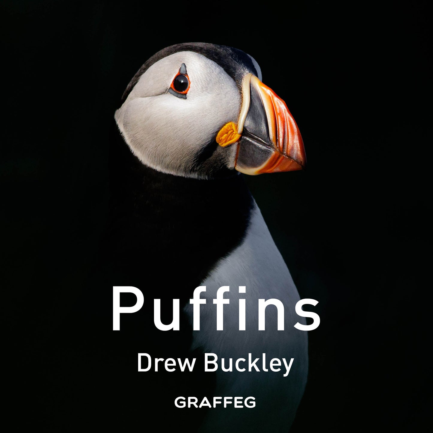 Book cover of 'Puffins' by Drew Buckley with a puffin illustration on a black background.