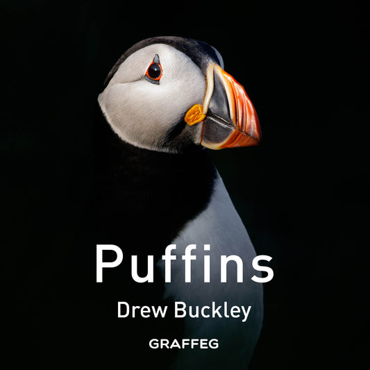 Book cover of 'Puffins' by Drew Buckley with a puffin illustration on a black background.