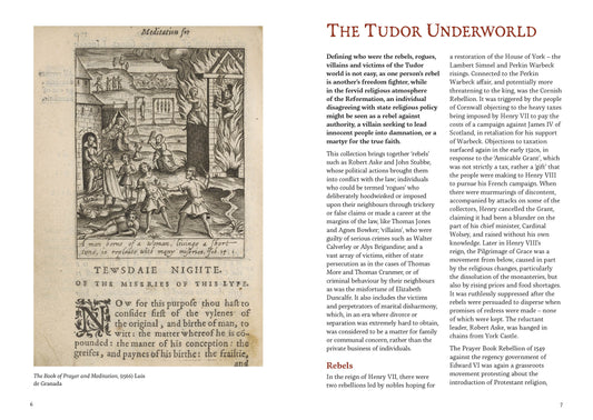 Tudor People: Rebels, Rogues, Villains, and Victims