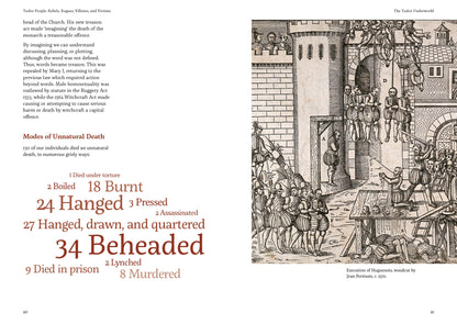 Tudor People: Rebels, Rogues, Villains, and Victims