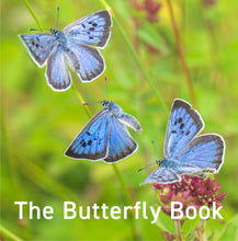 Load image into Gallery viewer, The Butterfly Book
