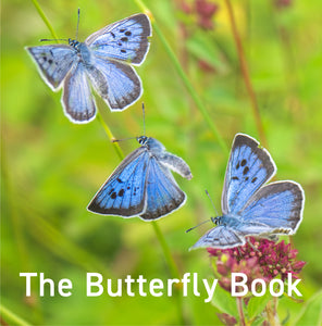 The Butterfly Book