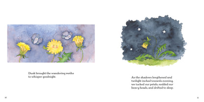 The Dandelion's Tale