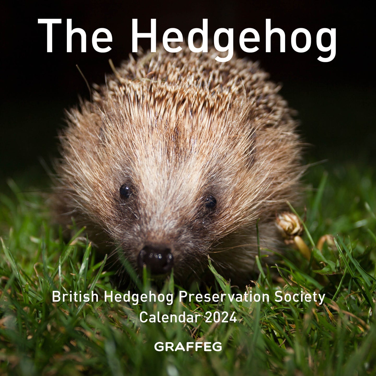 The Hedgehog Calendar 2024