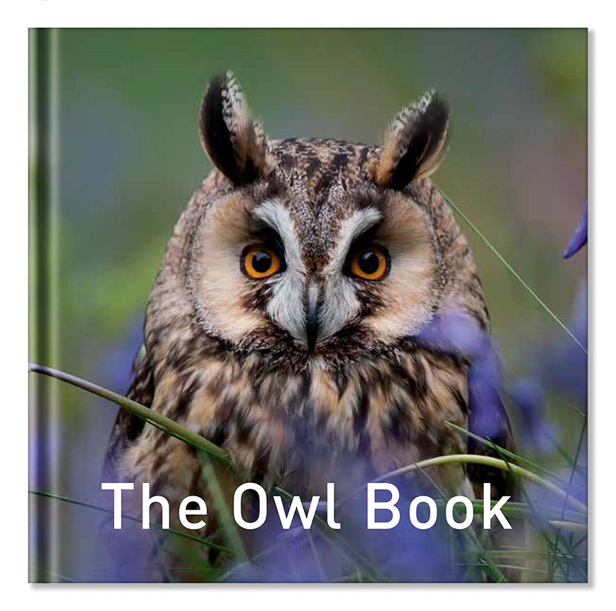 Nature Series Bundle 4 for £20