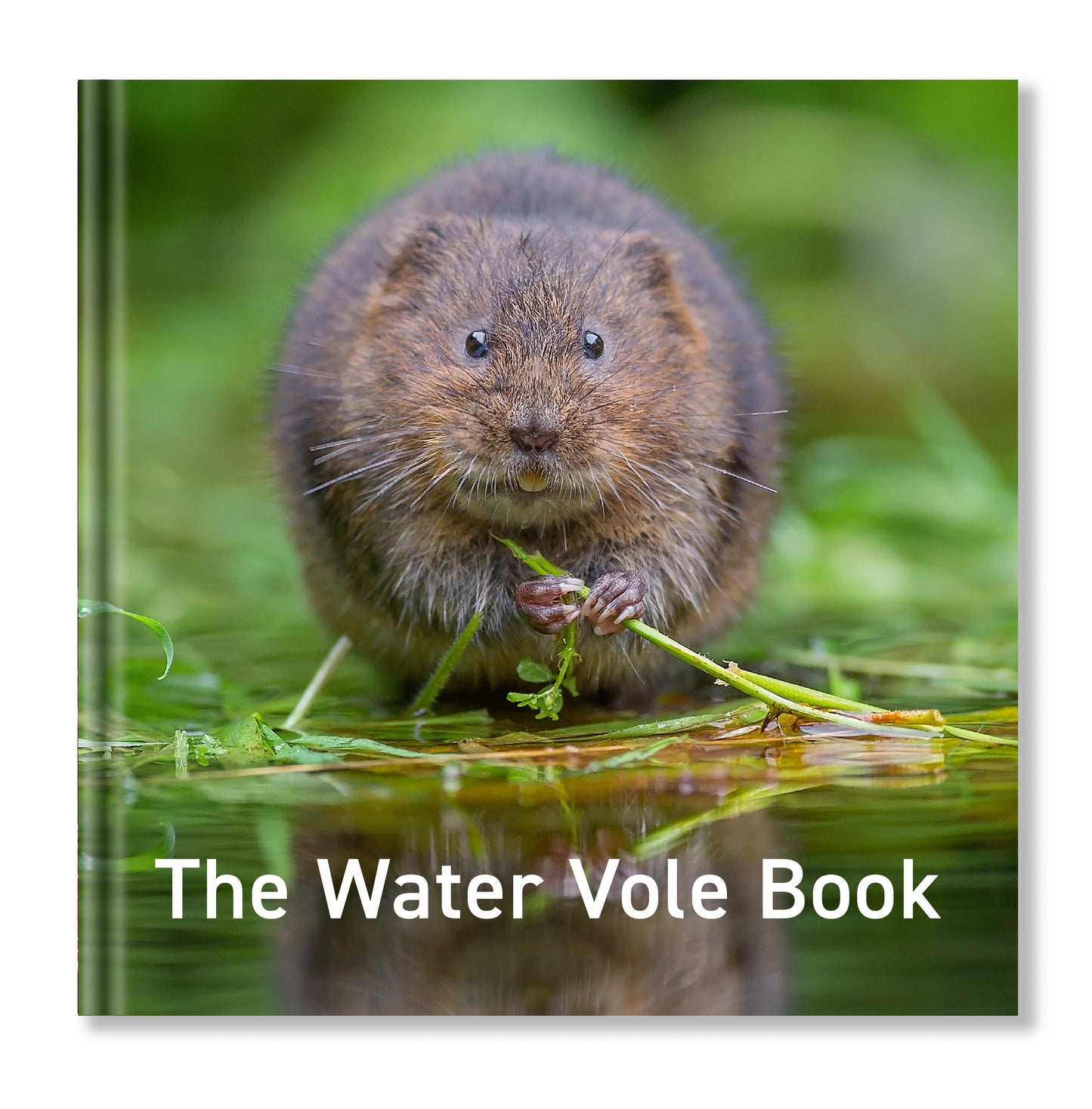 Nature Series Bundle 4 for £20
