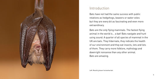 The Bat Book