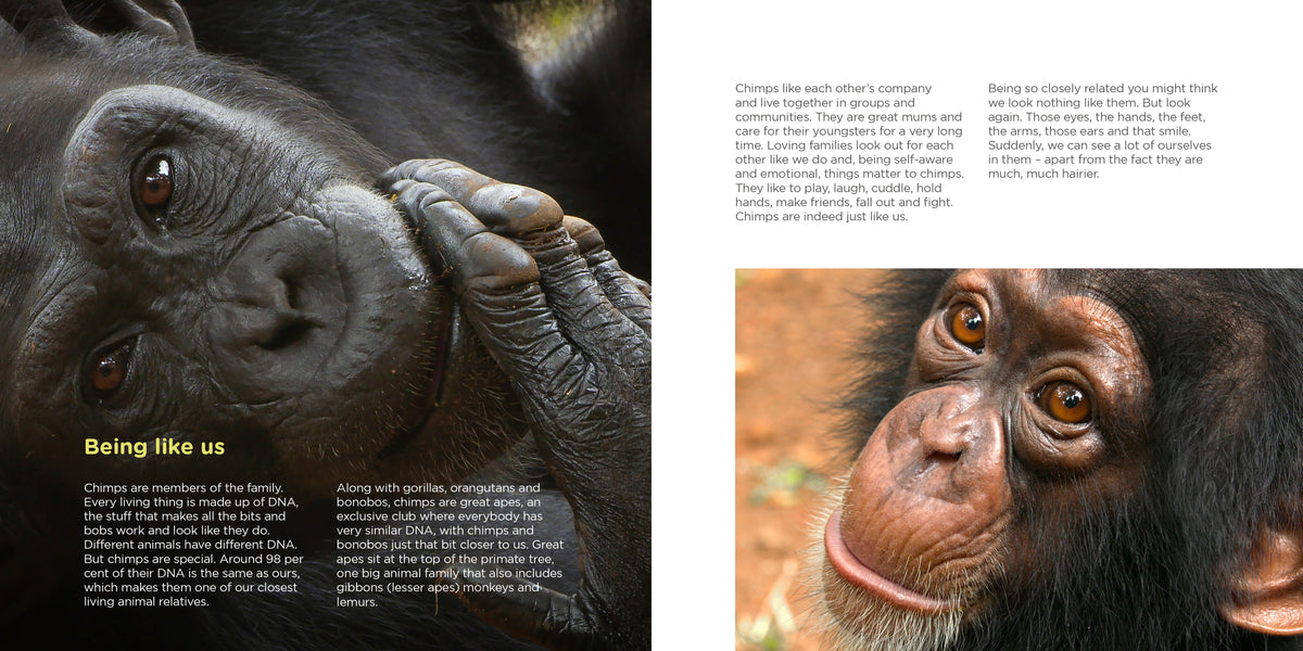 Chimp Insert The Book of Being Chimp | Adrian Cale | Wildlife Rehabilitation ...
