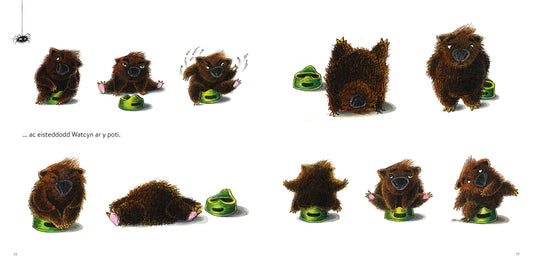 Watcyn y Wombat
