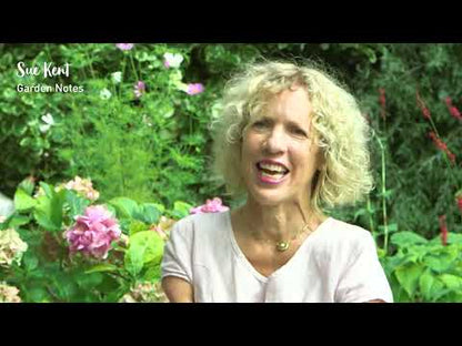 Sue Kent Garden Notes