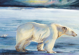 The Ice Bear Postcard Pack