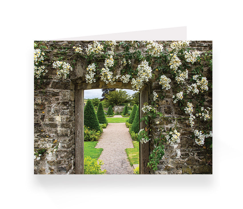 Aberglasney Cards Pack 2 - 10 pack