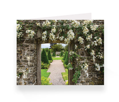 Aberglasney Cards Pack 2 - 10 pack