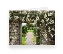 Load image into Gallery viewer, Aberglasney Cards Pack 2 - 10 pack
