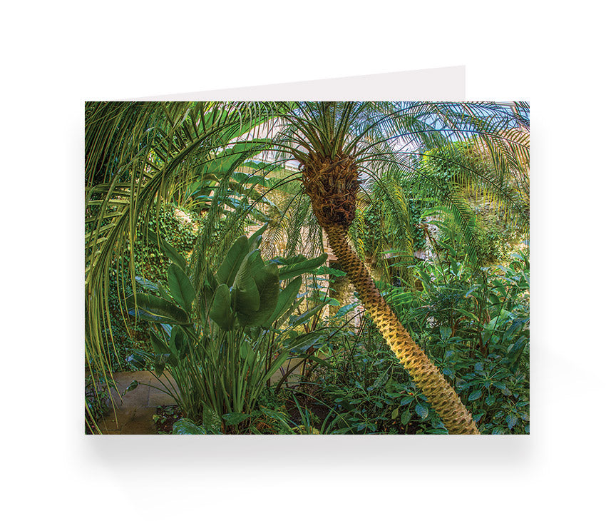 Aberglasney Cards Pack 2 - 10 pack