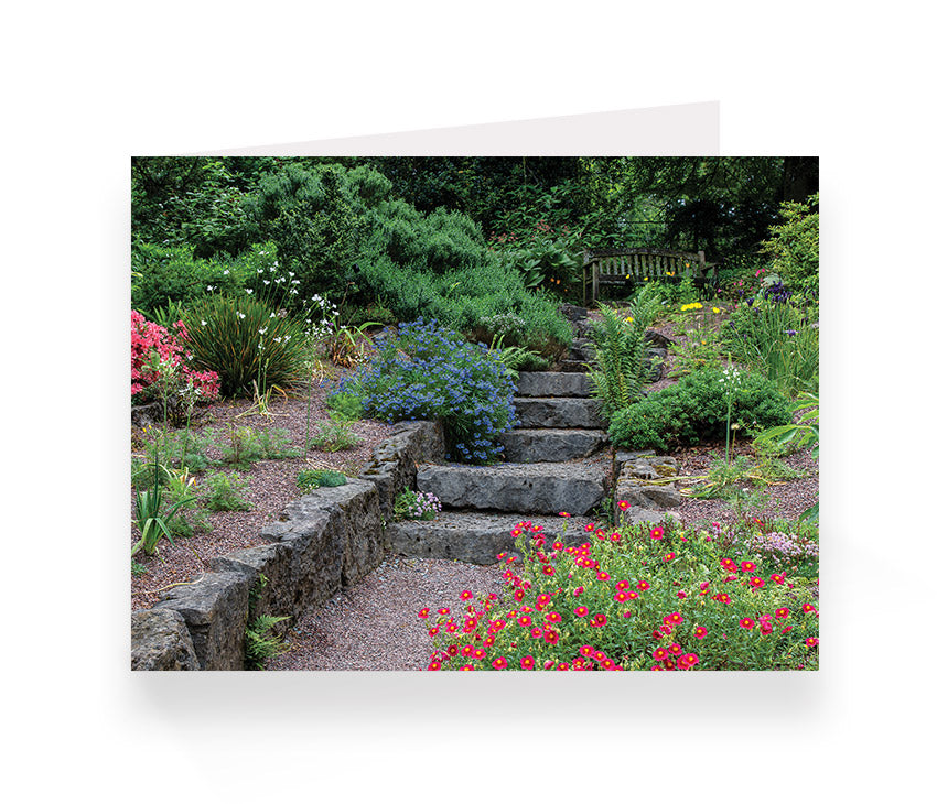 Aberglasney Cards Pack 2 - 10 pack