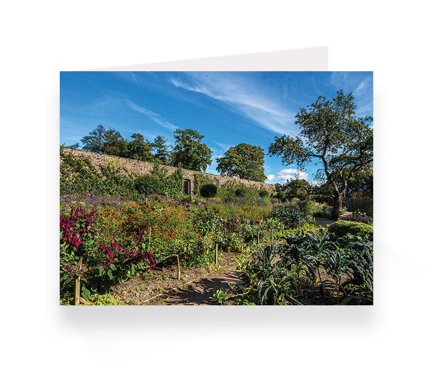 Aberglasney Cards Pack 2 - 10 pack