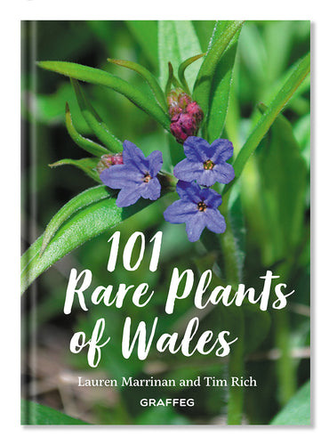 101 rare plants of wales by Tim Rich and Lauren Marrinan published by Graffeg in conjunction with Amgueddfa Cymru, National Museum Wales