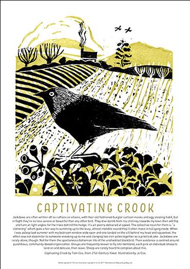 A poster featuring a black and white illustration of a jackdaw by Jo Cox, with elements of a countryside scene, and text extracts from Tom Cox's book '21st Century Yokel'.