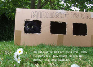 My Sad Cat Postcard Pack