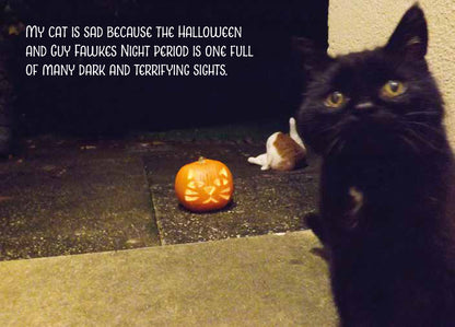 My Sad Cat Postcard Pack