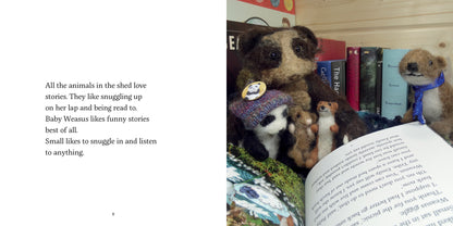 Finding your Place Celestine and the Hare Karin Celestine published by Graffeg