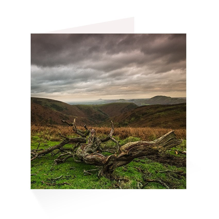 Upland Greetings Card Pack