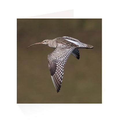 Upland Greetings Card Pack