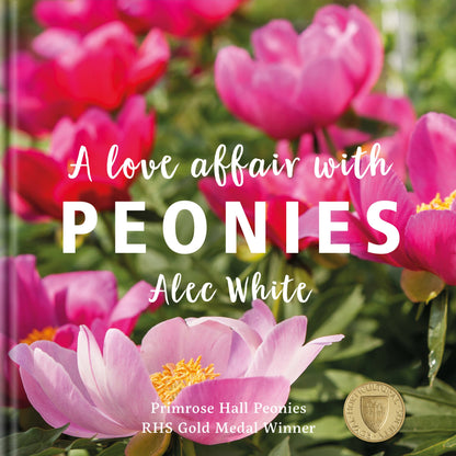 A Love Affair with Peonies
