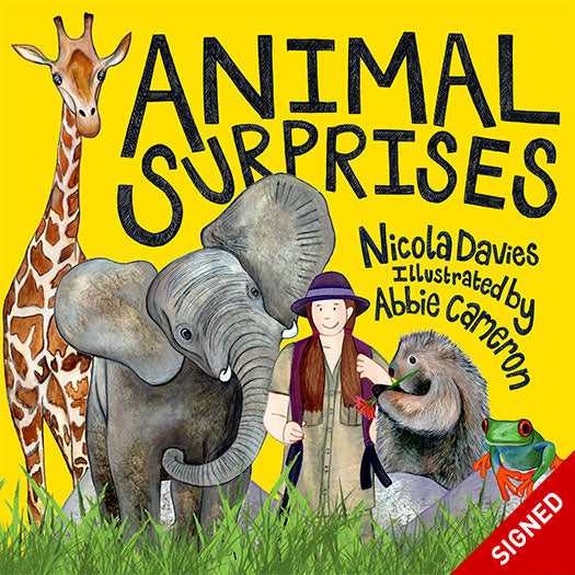 Animal Surprises