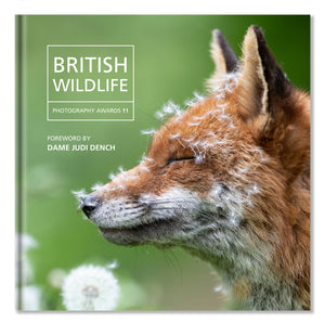 British Wildlife Photography Awards 11