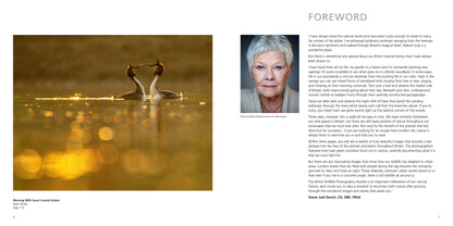 British Wildlife Photography Awards 11