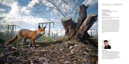 British Wildlife Photography Awards 11