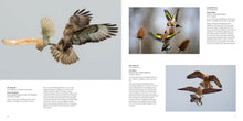 Load image into Gallery viewer, British Wildlife Photography Awards 11
