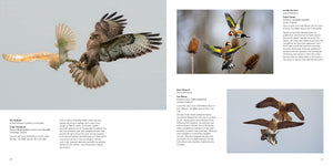 British Wildlife Photography Awards 11