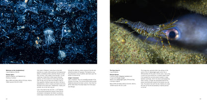 British Wildlife Photography Awards 11