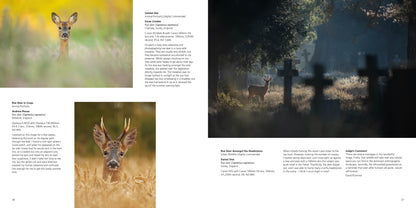 British Wildlife Photography Awards 11