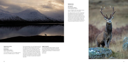 British Wildlife Photography Awards 11